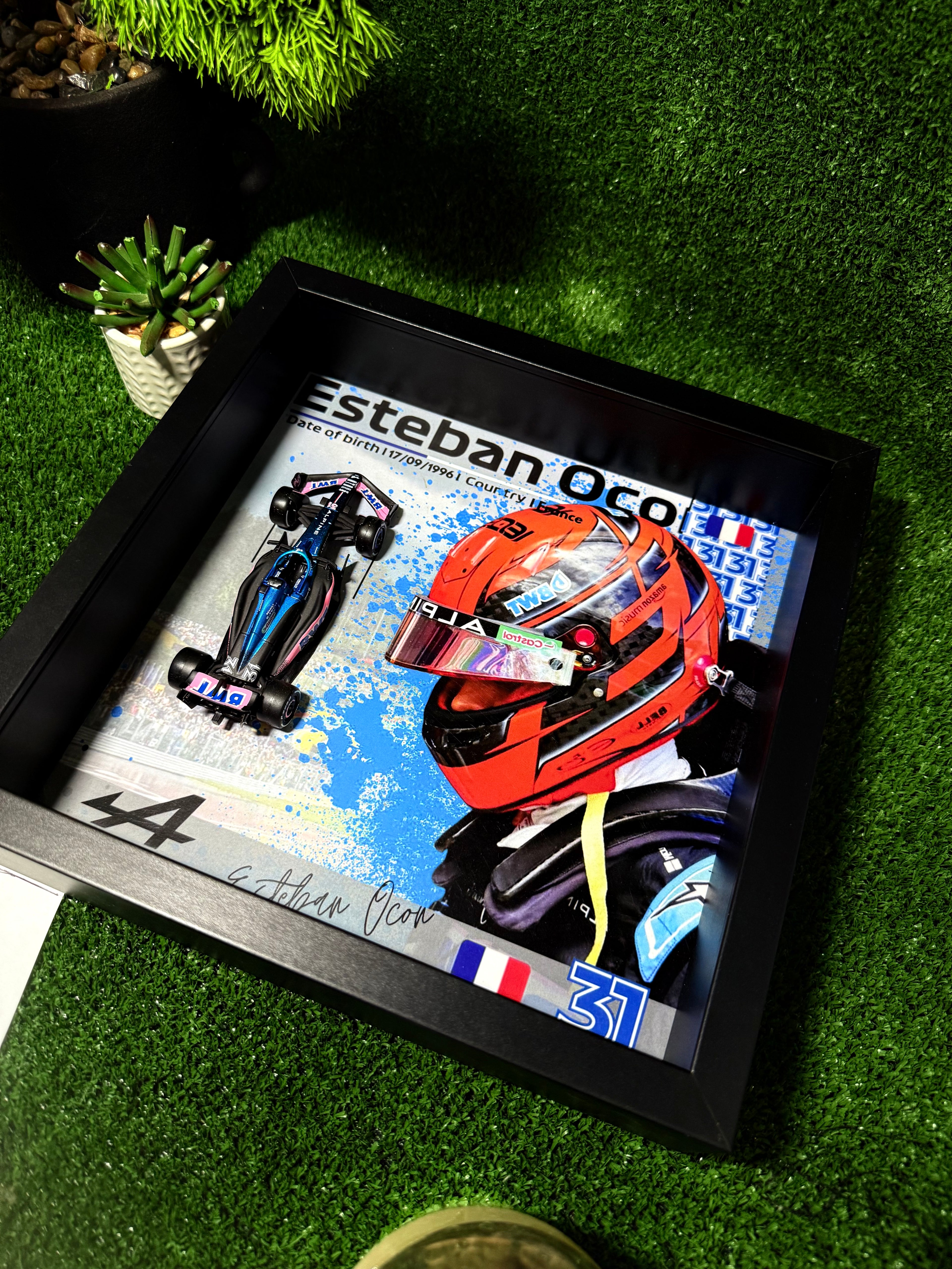 Esteban Ocon #31 Alpina