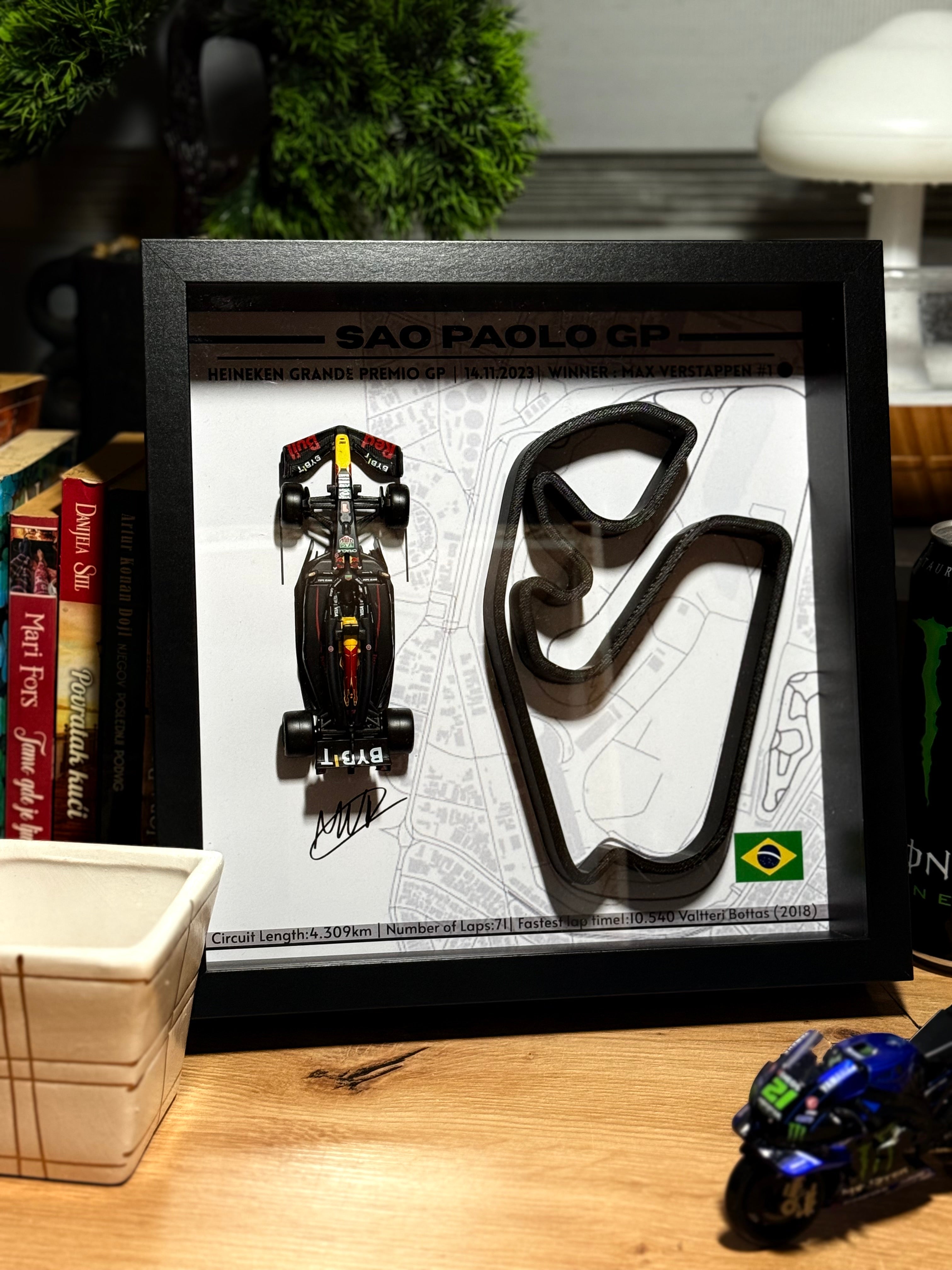 SaoPaolo2023 - Max Verstappen #1