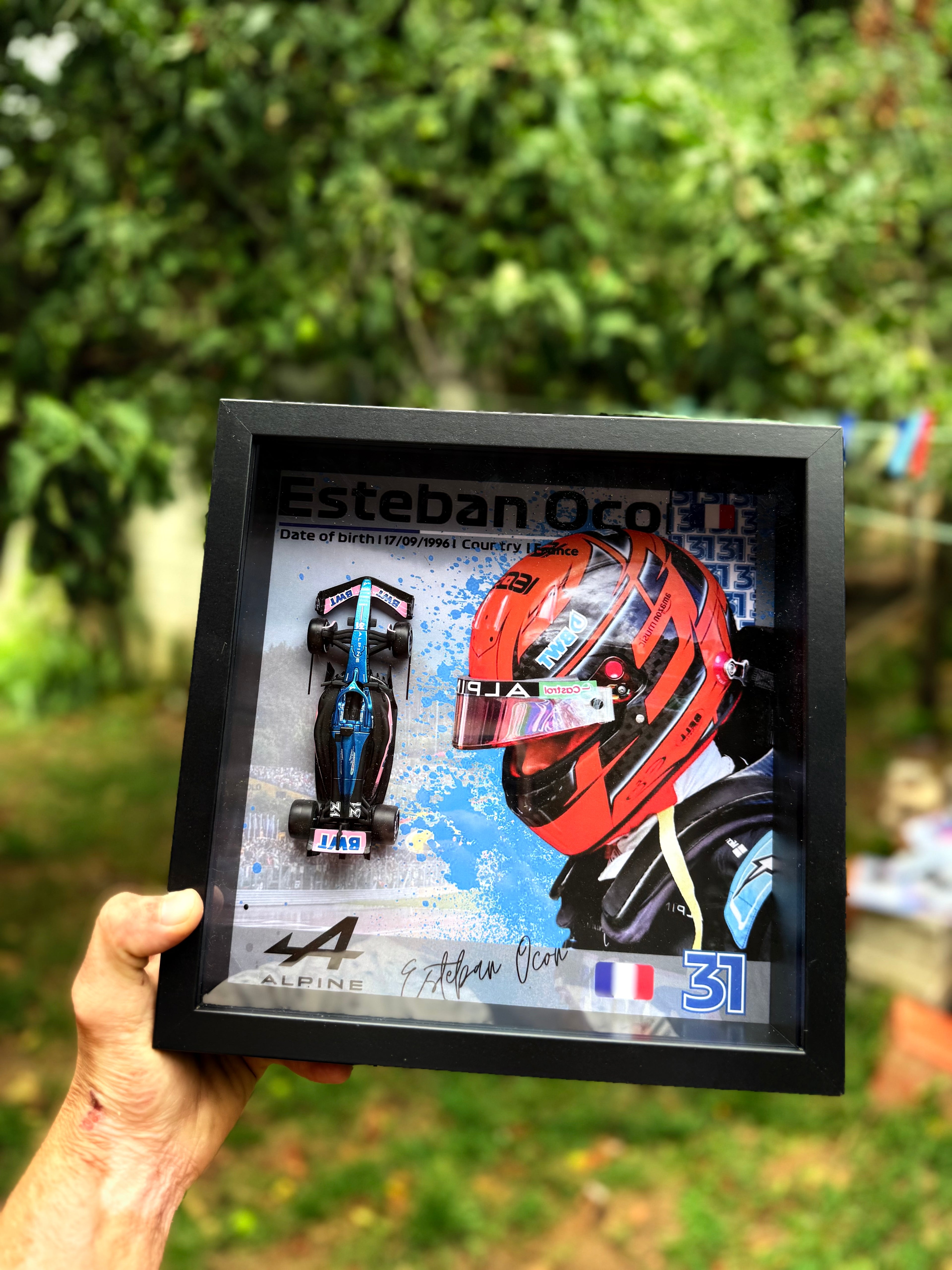 Esteban Ocon #31 Alpina