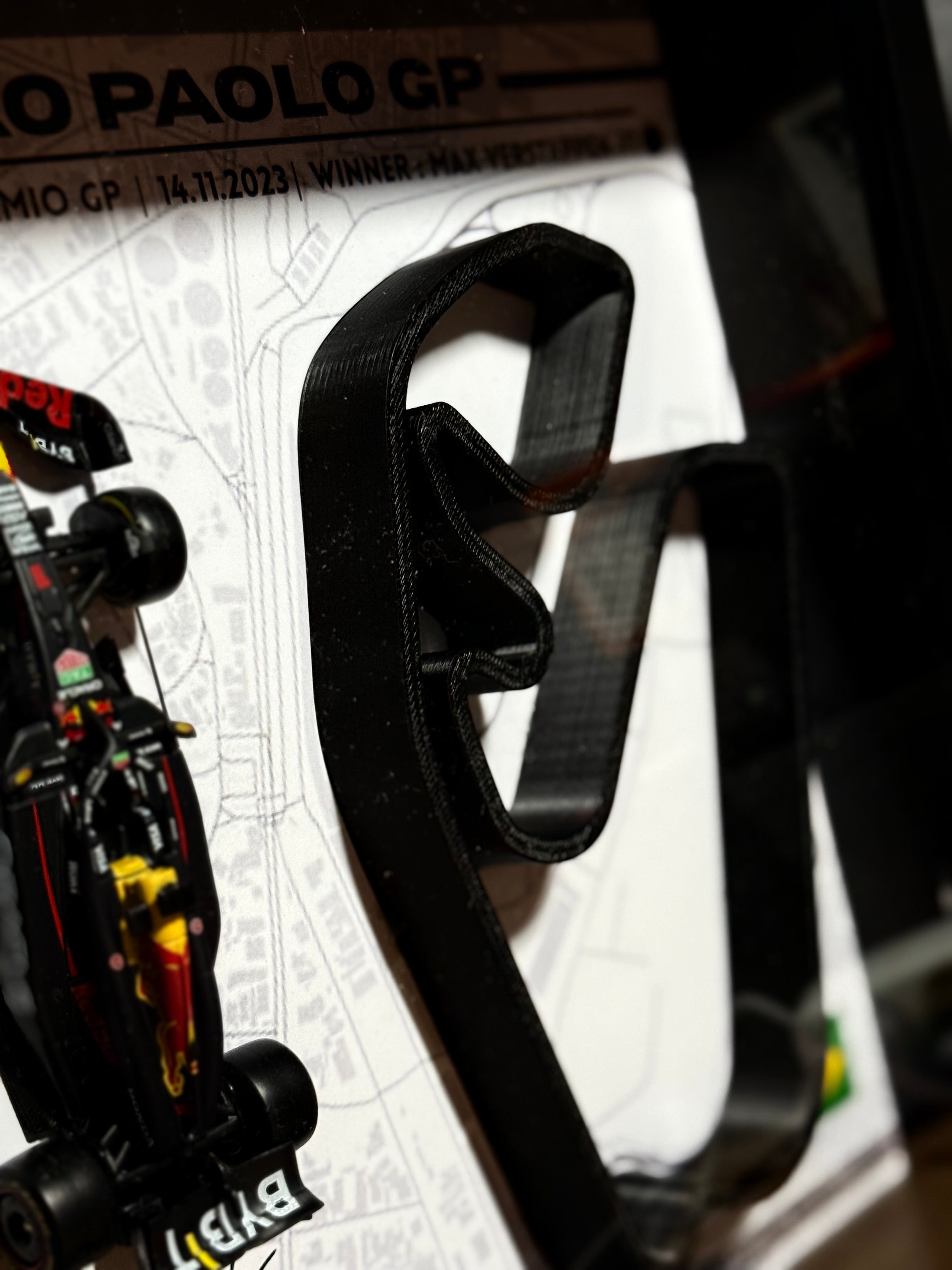 SaoPaolo2023 - Max Verstappen #1